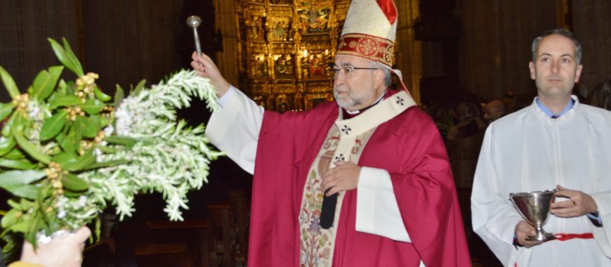 «Vivamos con fe y asombro lo que en estos días santos se nos quiere de nuevo relatar», Domingo de Ramos en la Catedral