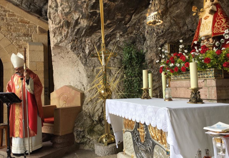 «Hoy estrenamos una Semana Santa inimaginable». Homilía de Mons. Sanz en el Domingo de Ramos