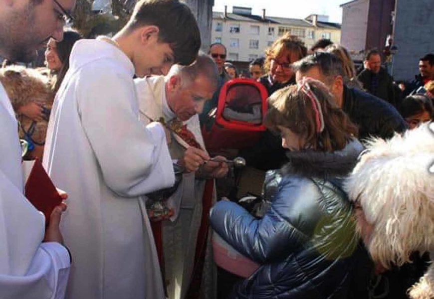 Las parroquias celebran la tradicional bendición de animales en el día de San Antón